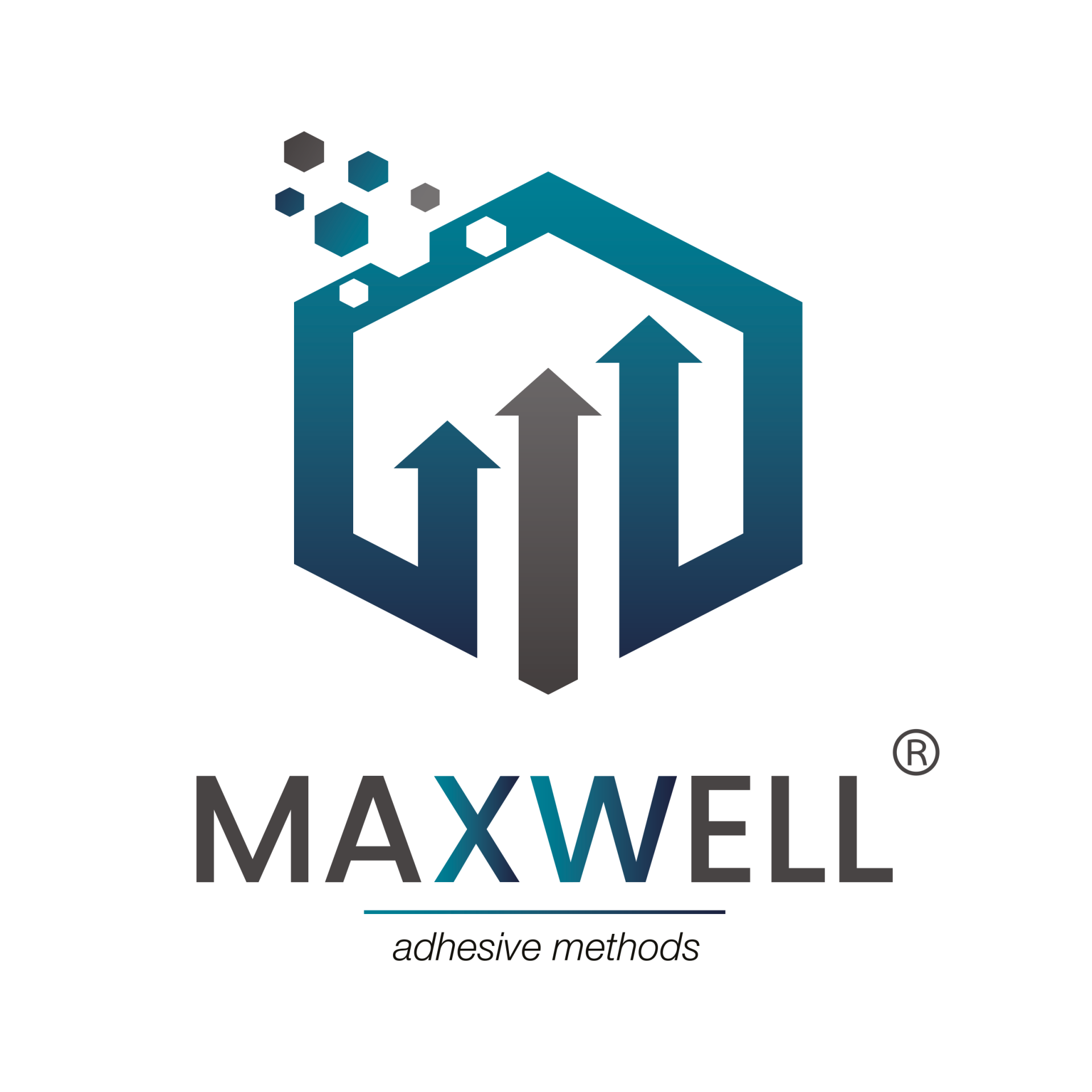 MAXWELL 2K AKRİLİK VERNİK